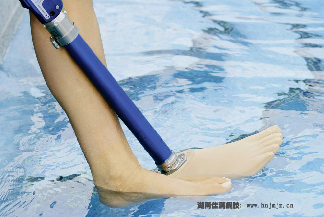 aqualine防水假肢下肢假肢系统
