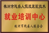 佳满假肢——株洲市残疾人假肢装配技术就业培训中心