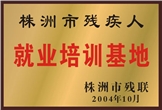 佳满假肢——株洲市残疾人就业培训基地