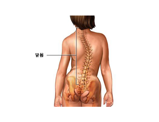 脊柱侧弯治疗如何才能少走“弯”路？