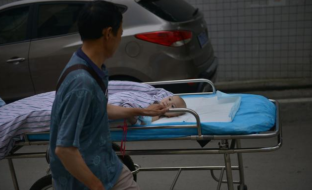 截肢手术后  小梦佳有望安装假肢重新站起来