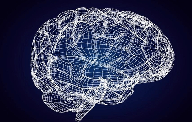 科学家造出“芯片大脑”人类将有如假肢的“假脑”？