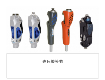 法国宝泰欧1P110液压膝关节(视频) 法国宝泰欧1P110液压膝关节(视频)